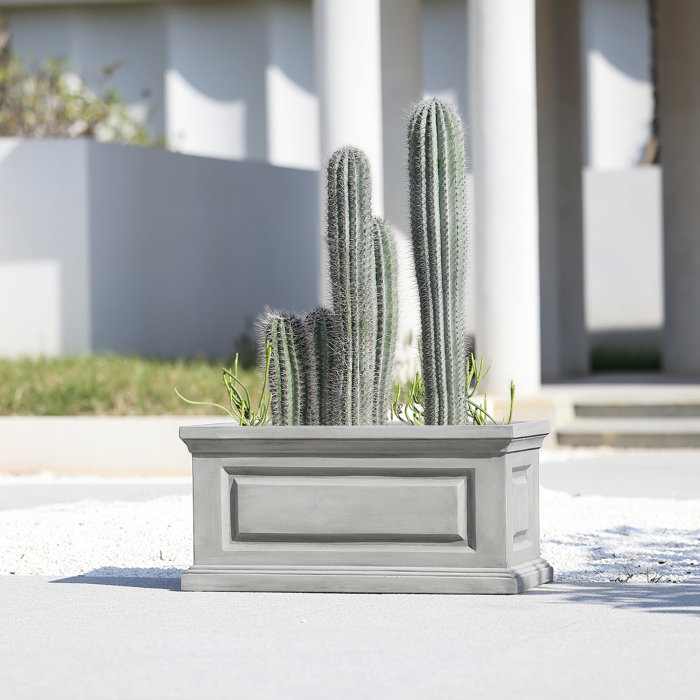 Darby Home Co Amesti Magnesium Oxide Planter Box Wayfair